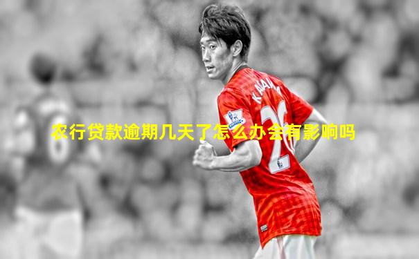 农行贷款逾期几天了怎么办会有影响吗
