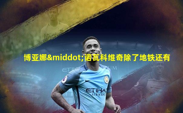 博亚娜·诺瓦科维奇除了地铁还有