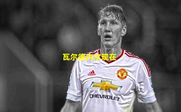 瓦尔德内尔现在