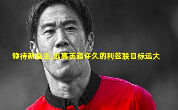静待新金主,远离英超许久的利兹联目标远大