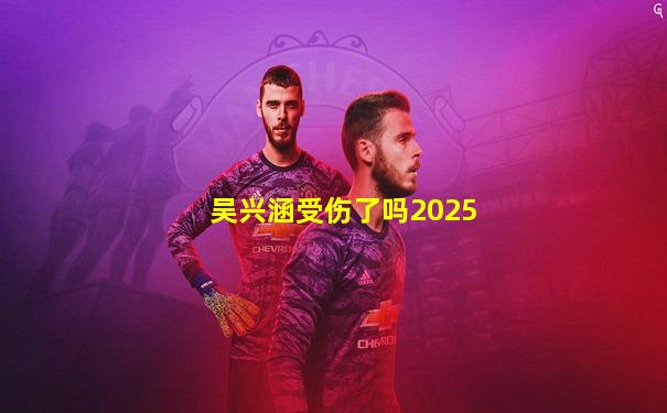 吴兴涵受伤了吗2025