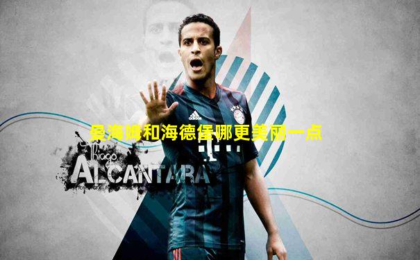 曼海姆和海德堡哪更美丽一点