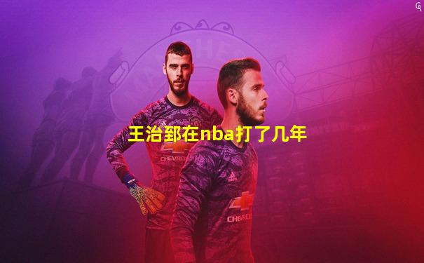 王治郅在nba打了几年