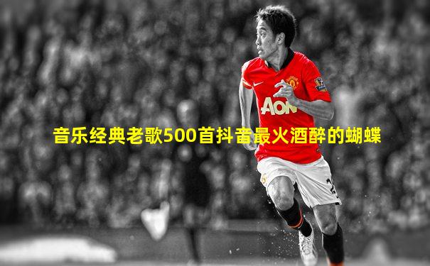 音乐经典老歌500首抖音最火酒醉的蝴蝶