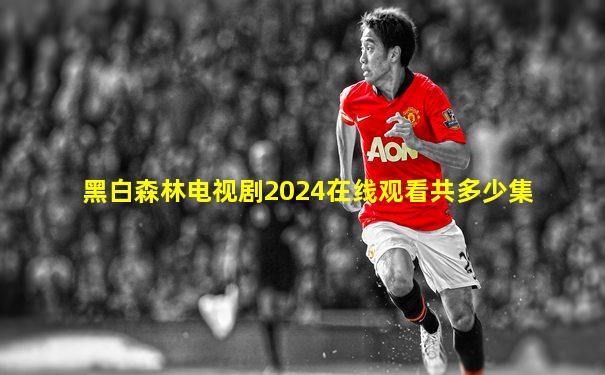 黑白森林电视剧2024在线观看共多少集